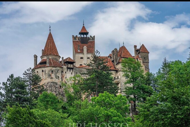 Bears Sanctuary, Dracula's Castle and Brașov City - Private Tour - Libearty Bear Sanctuary in Zărnești