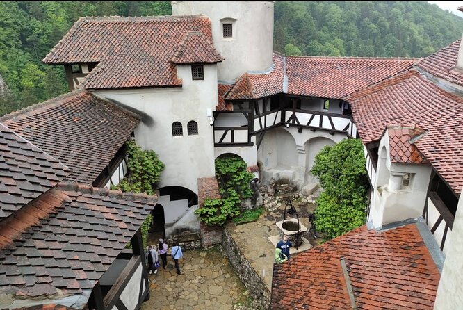 Bears Sanctuary, Dracula's Castle and Brașov City - Private Tour - Bran Castle and the Dracula connection