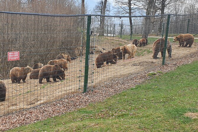 Bears Sanctuary, Dracula's Castle, Brasov Day Trip Private Tour from Bucharest - Brasov old center: time to slow down