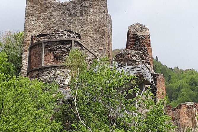 Bears Sanctuary, Dracula's Castle, Brasov Day Trip Private Tour from Bucharest - The private car and the long road from Bucharest