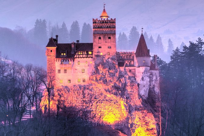 Bears Sanctuary, Dracula's Castle, Brasov Day Trip Private Tour from Bucharest - Booking details and cancellation