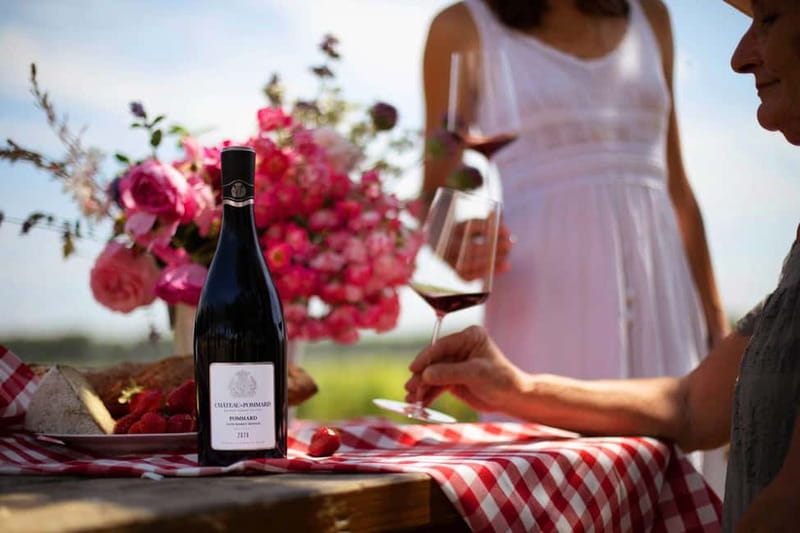 Beaune: Wine Tasting at Château de Pommard - Key points at a glance