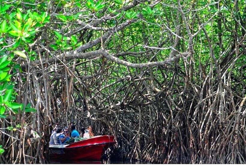 Bentota: All Inclusive Galle Dutch Fort & Madu River Safari - Noon transfer to Balapitiya