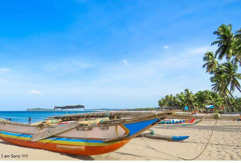 Bentota: All Inclusive Galle Dutch Fort & Madu River Safari - Guide quality and the private group choice