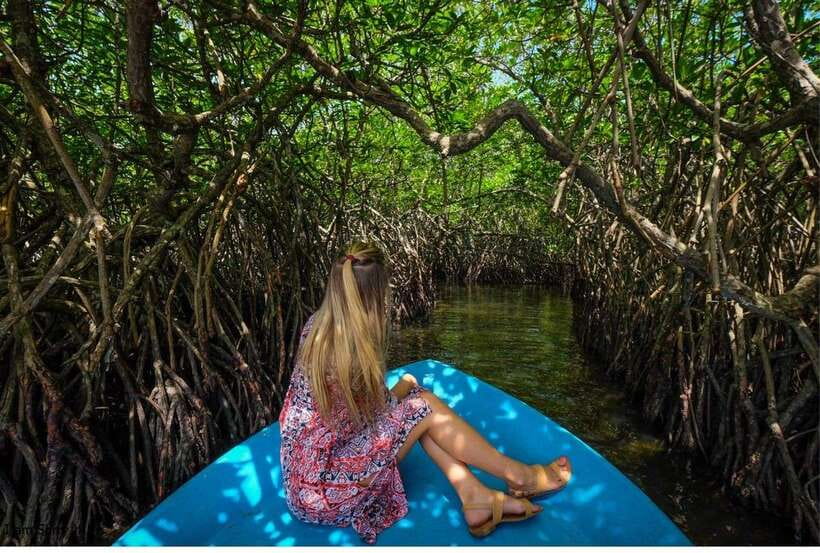 Bentota: All Inclusive Galle Dutch Fort & Madu River Safari - Who should book this combination tour