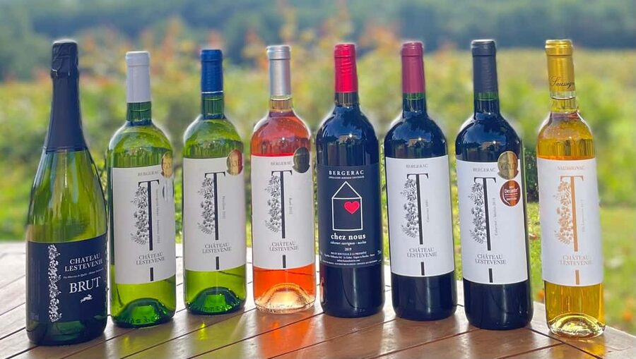 Bergerac: Wine Tasting at Chateau Lestevenie - Why this two-hour tasting earns a place in your Bergerac plans