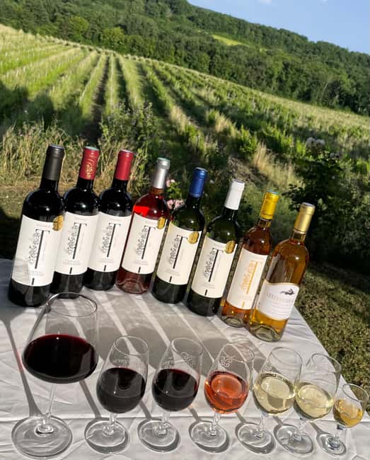Bergerac: Wine Tasting at Chateau Lestevenie - Tasting up to six wines, one glass at a time