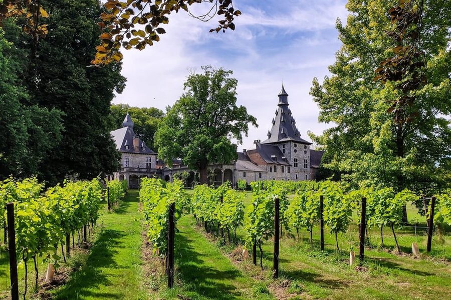 Bioul (near Dinant) : Château de Bioul Tour and Wine Tasting - Why Château de Bioul is more than a wine tasting