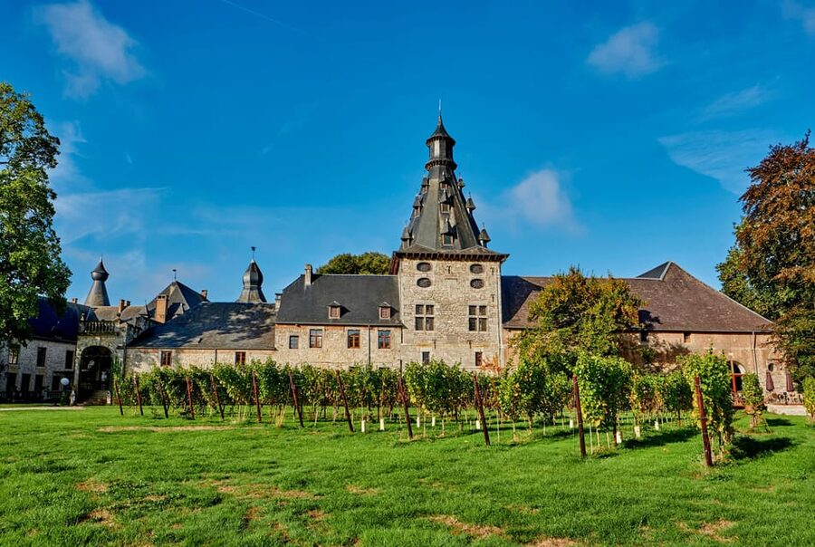 Bioul (near Dinant) : Château de Bioul Tour and Wine Tasting - The Wyckmans-Vaxelaire family story