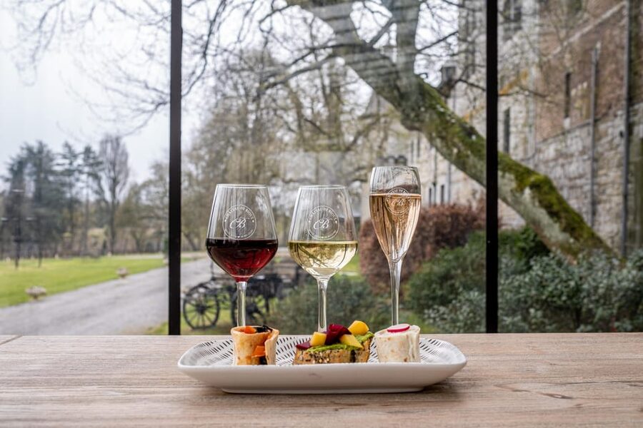 Bioul (near Dinant) : Château de Bioul Tour and Wine Tasting - Who will enjoy Château de Bioul most