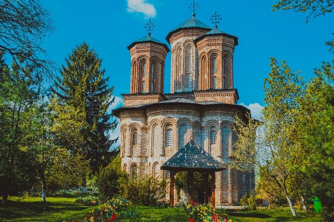 Bison Sanctuary, Vlad the Impaler Princely Court & Dracula Grave - Why this Bucharest day trip works so well
