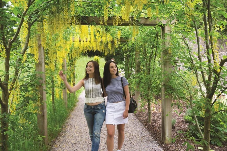 Blarney Castle Full-Day Tour from Dublin - Cork in about an hour