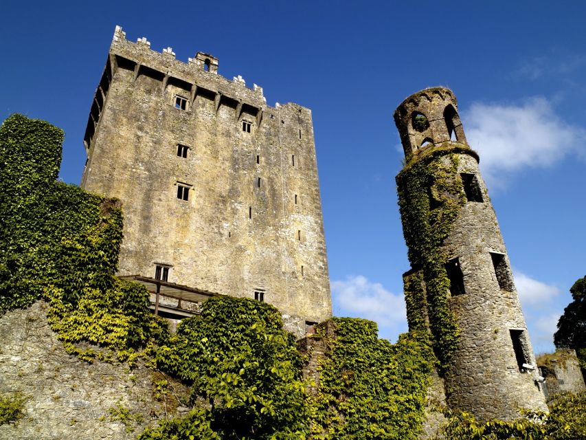 Blarney Castle Full-Day Tour from Dublin - Blarney Castle and the famous stone