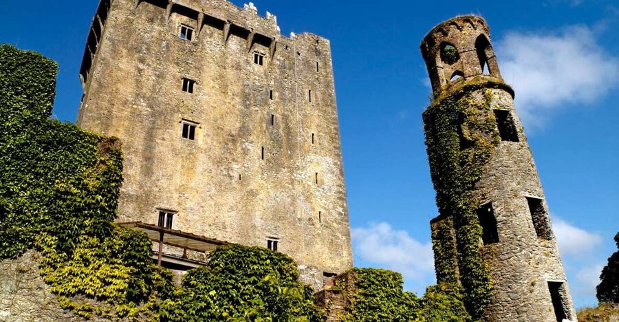Blarney Castle Full-Day Tour from Dublin - Blarney’s gardens, caves, and quieter corners