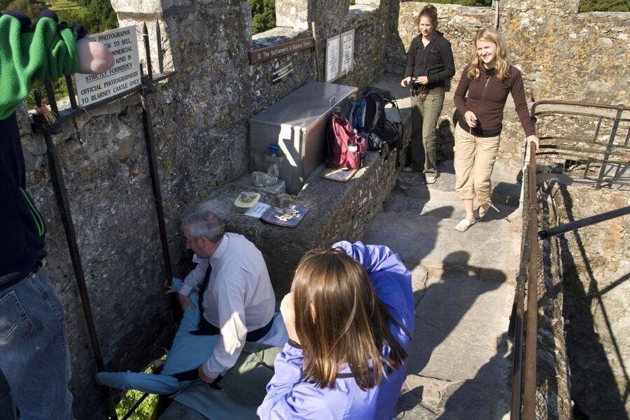 Blarney Castle Full-Day Tour from Dublin - What the guides add to the long drive