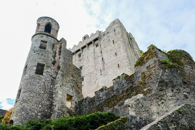 Blarney, Rock of Cashel & Cahir Castles Day Tour From Dublin - What the $108.84 price really covers