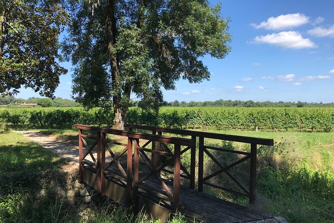 Blending workshop and tour of the chateau - Arriving at Château Sainte-Barbe in Ambès