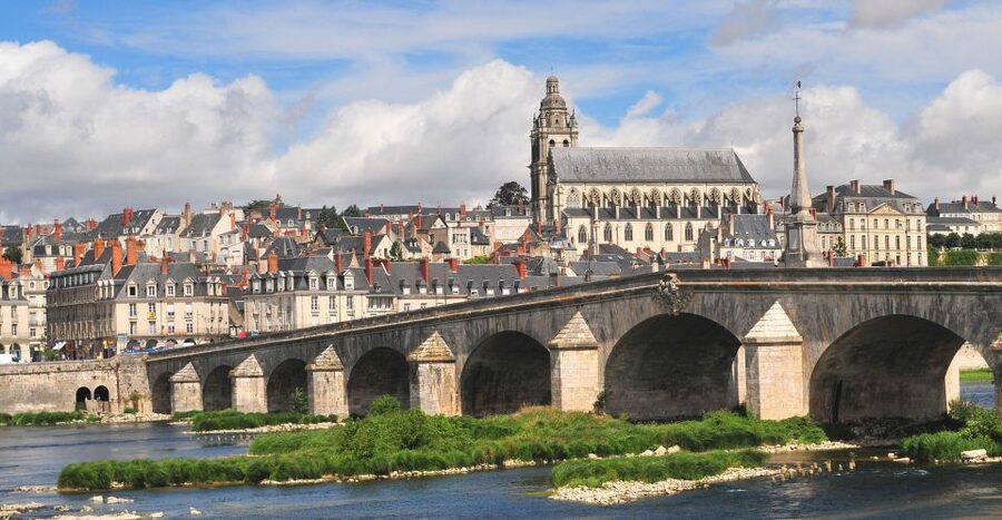 Blois: Private Tour of Blois Castle with Entry Tickets - What a private guide adds