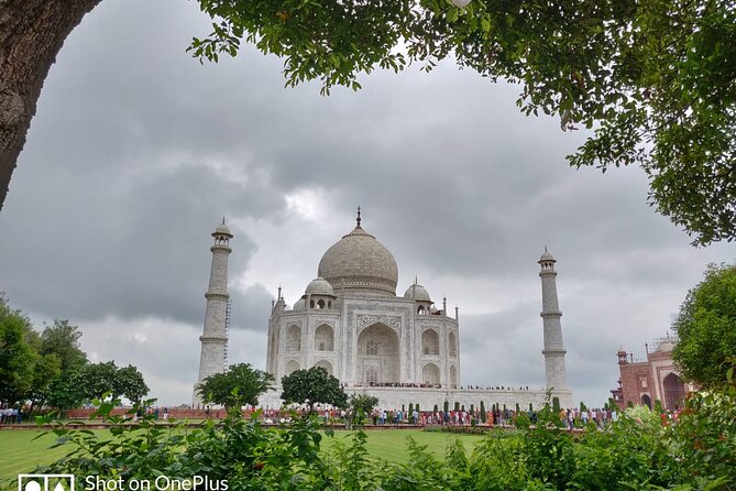Book Govt Approved Guide for Taj Mahal & Agra fort - The guides: clear communication and local help
