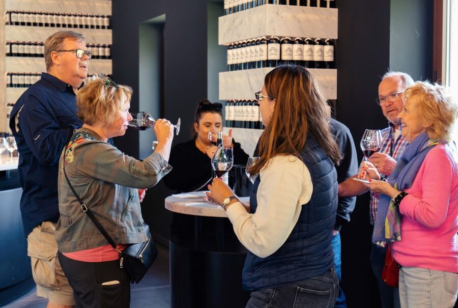 Bordeaux: Médoc & St-Emilion Wine 3 châteaux with lunch - The guide can shape the whole day
