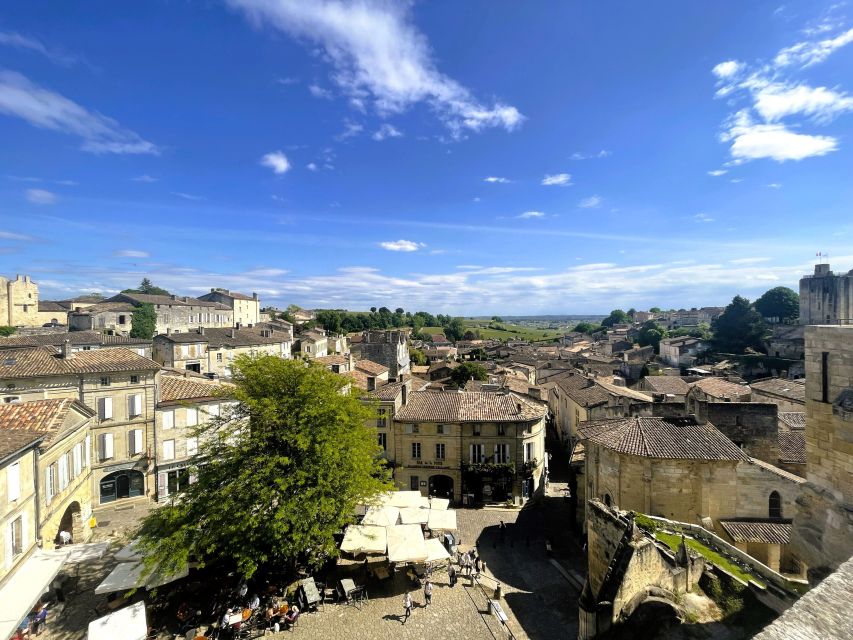 Bordeaux: Saint-Emilion Village Day Trip, 2 Chateaux & Lunch - Who should book this Saint-Émilion tour?