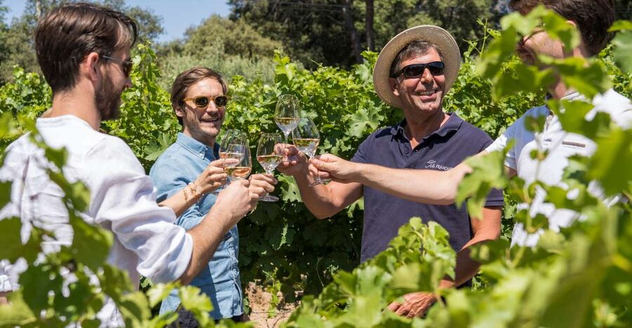 Bordeaux: Saint-Emilion Village Day Trip, 2 Chateaux & Lunch - Tasting five or six Bordeaux wines