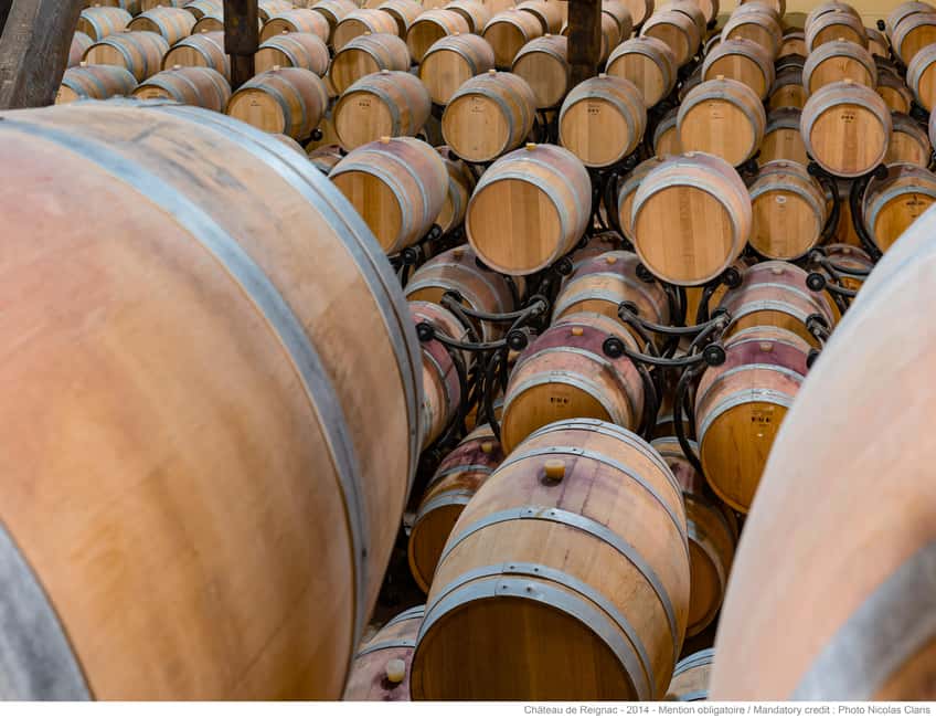 Bordeaux: Visit to Château de Reignac and prestige tasting - Seeing how the wine is made