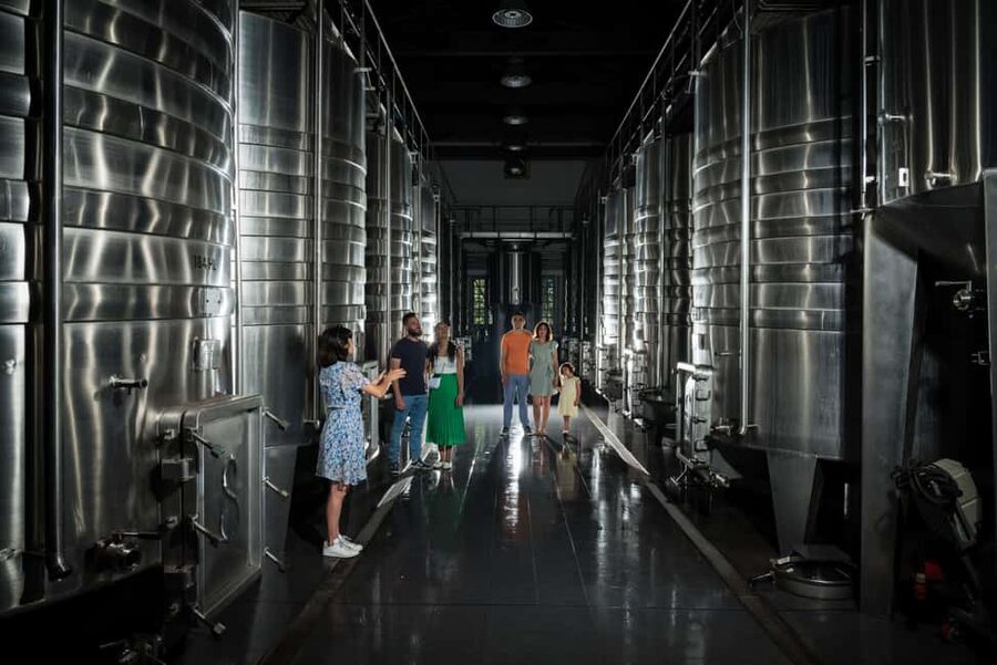 Bordeaux: Visit to Château de Reignac and prestige tasting - The four-wine tasting in the dovecote