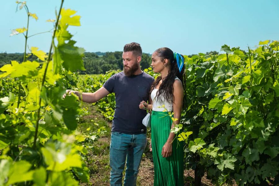 Bordeaux: Visit to Château de Reignac and prestige tasting - The guides and the private format
