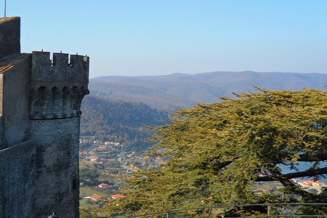 Bracciano: Odescalchi-Orsini ancient Castle Tour with Lunch - Why Bracciano makes a good port-day escape