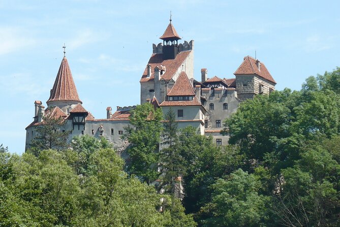 Bran Castle and more options private tour from Brasov - What the guide adds to the day