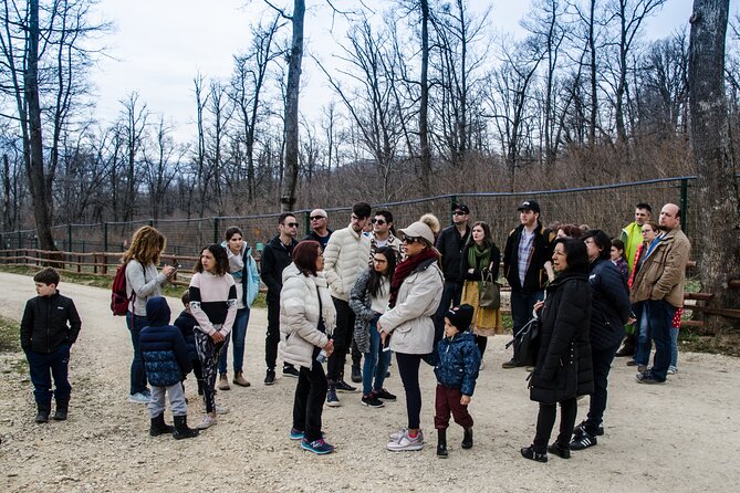 Bran Castle, Bear Sanctuary, and Rasnov Fortress Half Day Tour - What the $85 price really buys