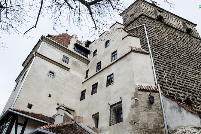 Bran Castle, Bear Sanctuary, and Rasnov Fortress Half Day Tour - Libearty Bear Sanctuary: the day’s strongest stop