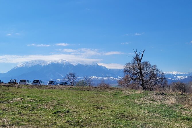 Bran Castle & Bear Sanctuary from Brasov - Optional Peles Castle - Adding Peles Castle to the day