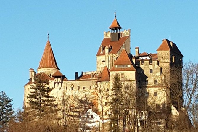 Brasov: Bear Sanctuary, Bran Castle & Rasnov Fortress GUIDED Tour - Why the bear sanctuary comes first