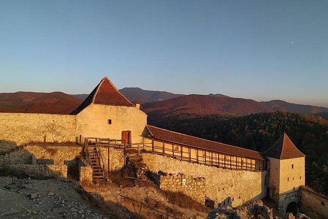 Brasov: Bear Sanctuary, Bran Castle & Rasnov Fortress GUIDED Tour - What the guide adds to the day
