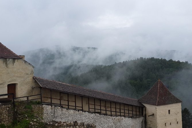 Brasov: Bear Sanctuary, Bran Castle & Rasnov Fortress GUIDED Tour - Who should choose this day trip?