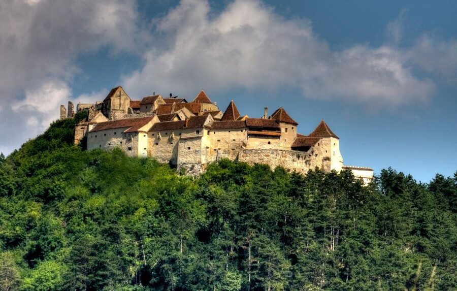 Brasov: Bear Sanctuary, Dracula Castle, and Râşnov Fortress - What the small-group ride adds to the day