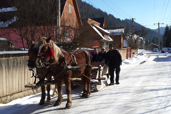Brasov: Bears Sanctuary, Rasnov Fortress, Bran Castle GUIDED Tour - Rasnov Fortress: views, stories, and a temporary change