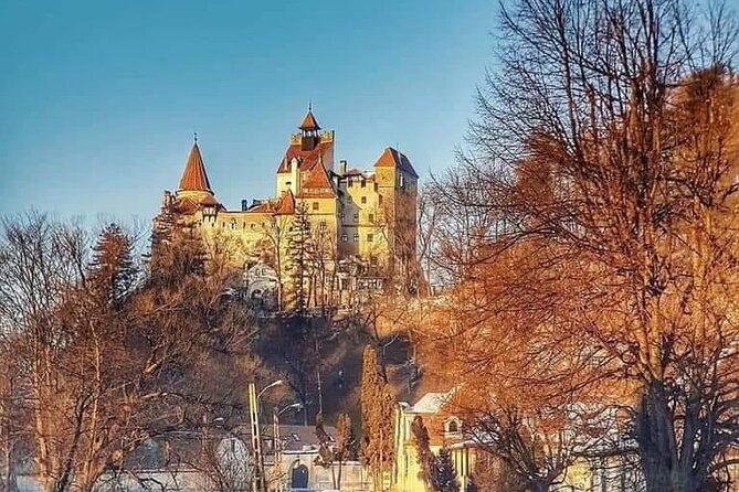 Brasov: Bears Sanctuary, Rasnov Fortress, Bran Castle GUIDED Tour - Practical details that affect your day
