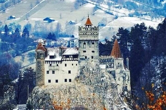 Brasov: Bears Sanctuary, Rasnov Fortress, Bran Castle GUIDED Tour - Libearty Bear Sanctuary: the most memorable first stop