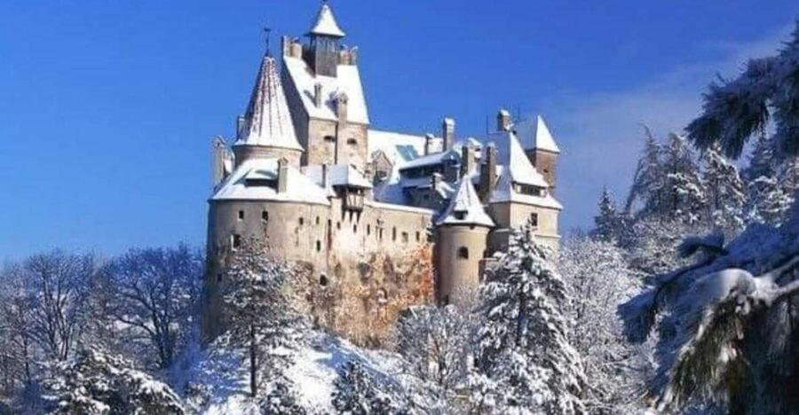 Brasov: Bran, Peles and Cantacuzino Castles Day Tour - Practical details before you book