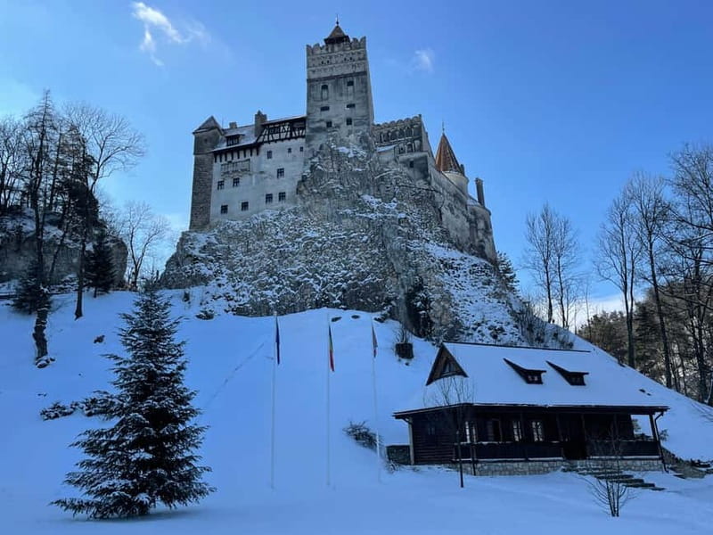 Brașov: Bran, Râșnov, and Peleș Castles Tour with Guide - Three very different castles in one day