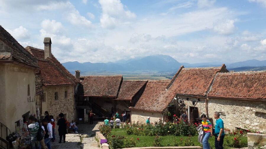 Brasov: Peles Castle, Bran Castle & Rasnov Fortress Day Tour - Practical details that can make the day better