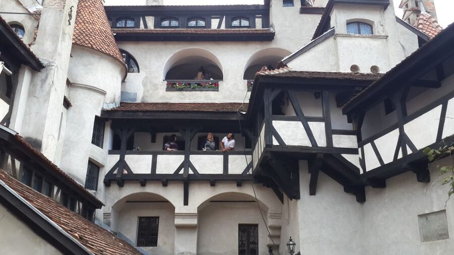Brasov: Peles Castle, Bran Castle & Rasnov Fortress Day Tour - What $84 gets you, and what it does not
