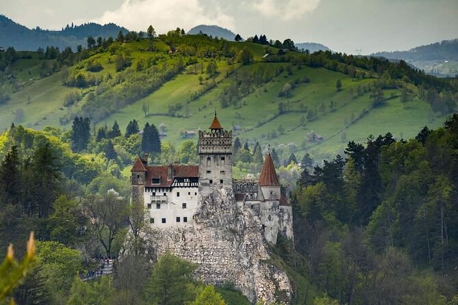 Brasov: Peles Castle, Bran Castles and Rasnov Fortress Day Tour - Why this tour works from Brasov