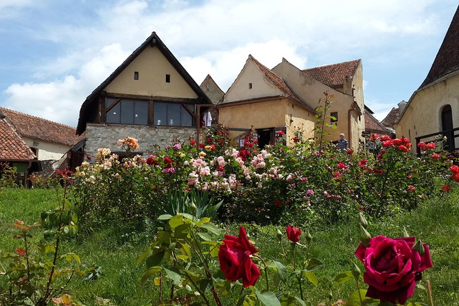 Brasov: Peles Castle, Bran Castles and Rasnov Fortress Day Tour - Rasnov Fortress and the current access limits