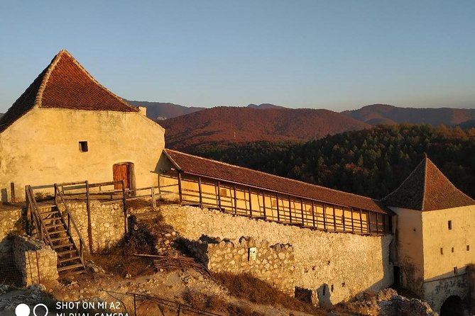 Brasov: Peles Castle, Bran Castles and Rasnov Fortress Day Tour - Walking, timing, and what to wear