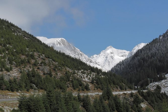Brasov Private Tour: Transfagarasan road & Poienari Fortress - Poienari Fortress is the hardest part of the day
