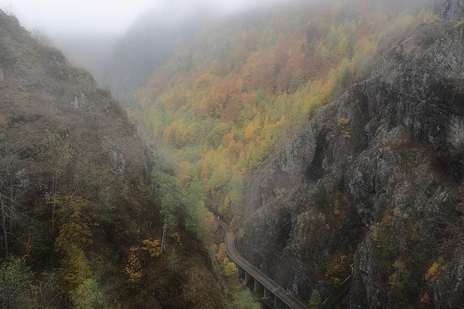 Brasov Private Tour: Transfagarasan road & Poienari Fortress - Price, food, and the real value of the day
